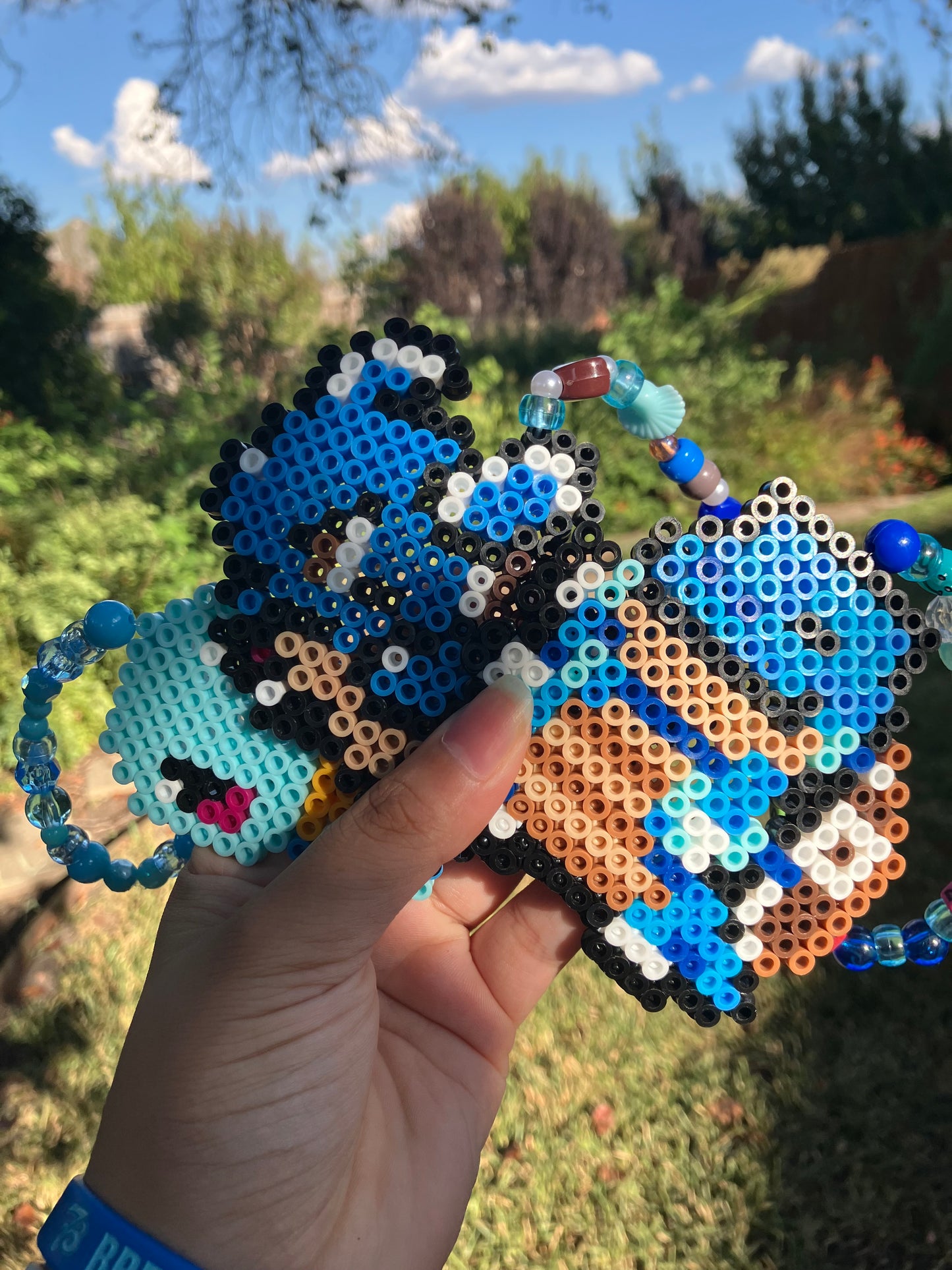 Pokemon EVO Sets